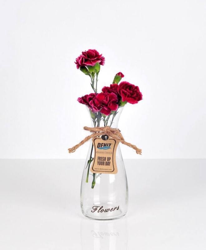 گلدان هوگو دنیز