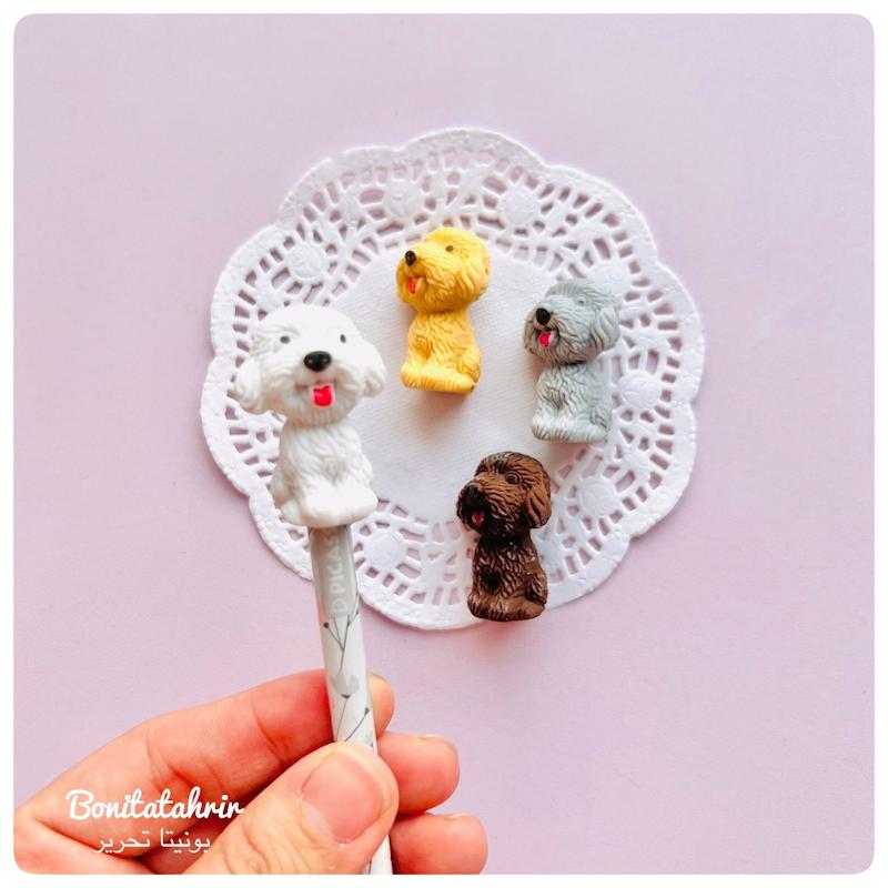 پاکن سرمدادی سگ 