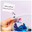 پوشه طلقی زیپی استیج