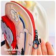 کوله پشتی مهد طرح فیل