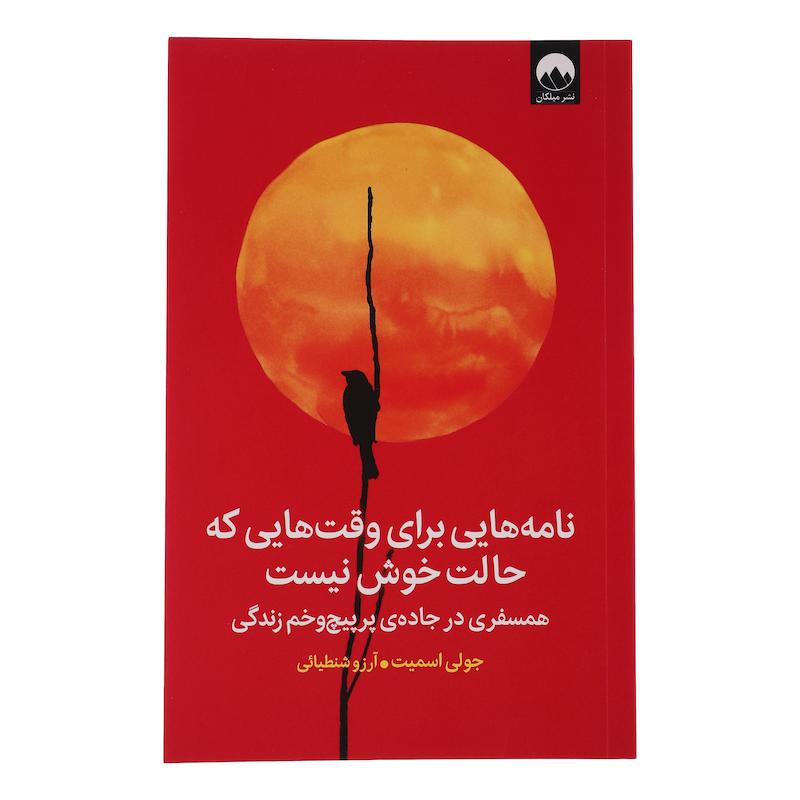 کتاب نامه هایی برای وقت هایی که حالت خوش نیست اثر جولی اسمیت ترجمه آرزو شنطیائی نشر میلکان
