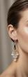 گوشواره اشکی آویز دار (برند فولیجیا) | 3007007
