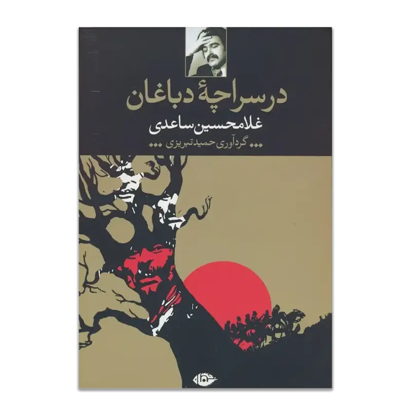 در سراچۀ دباغان