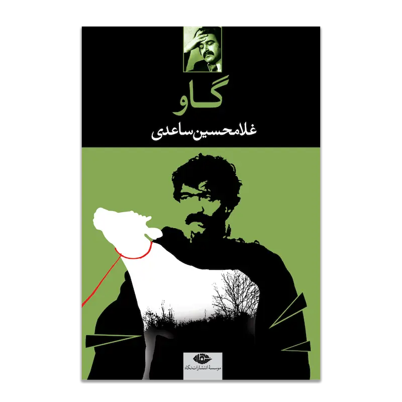 گاو 