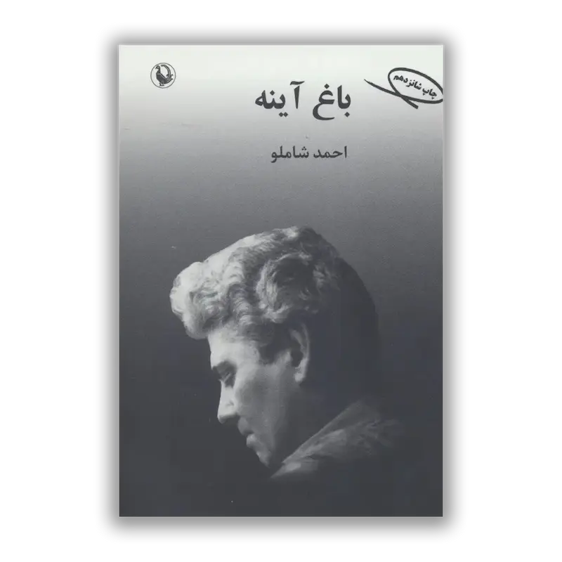باغ آینه
