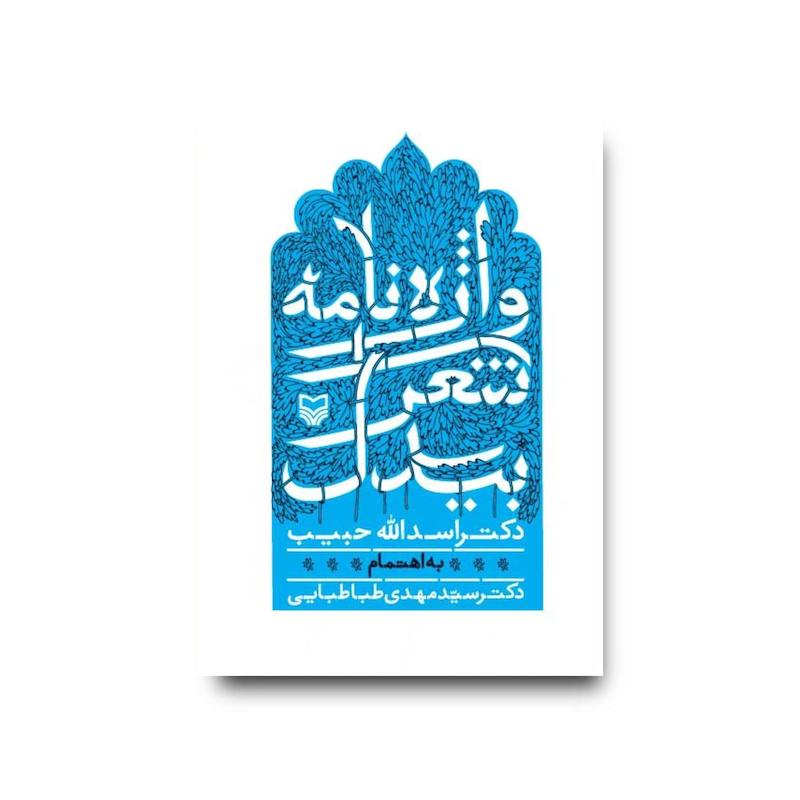 کتاب واژه‌نامه شعر بیدل