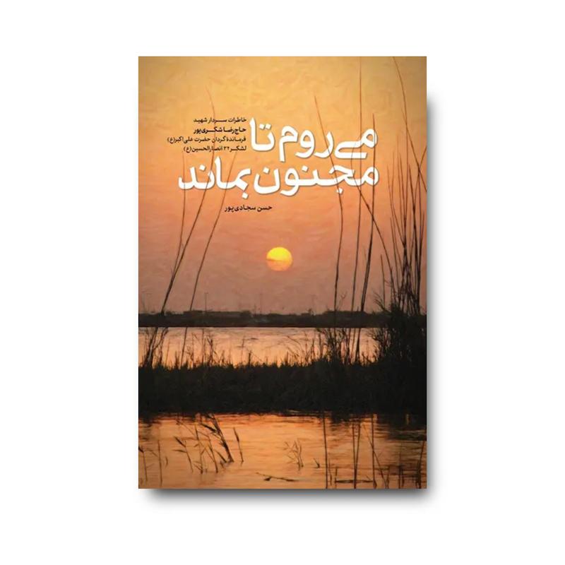 کتاب می‌روم تا مجنون بماند