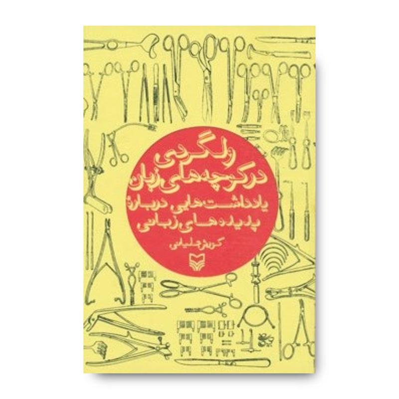 کتاب ولگردی در کوچه‌های زبان