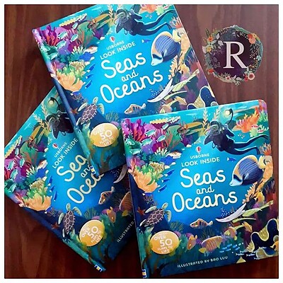 Look Inside: Seas and Oceans