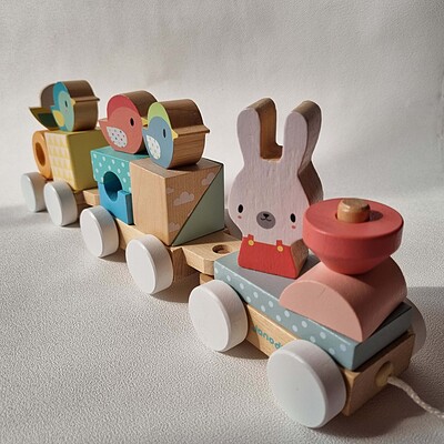 Wooden train قطار چوبی Janod 