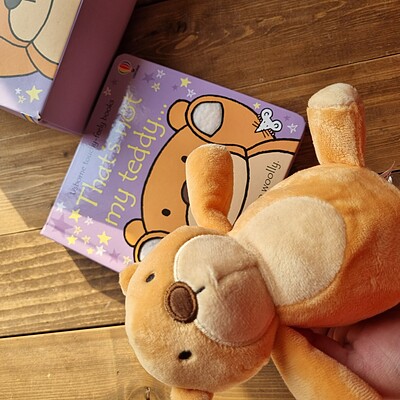 That's not my Teddy/ Book&Doll