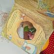 Peter Rabbit/ peep inside tale 