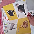 Early Learning set/ 10 books