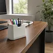 جا قلمی شوکا از برند بوته روی میز مدیریت