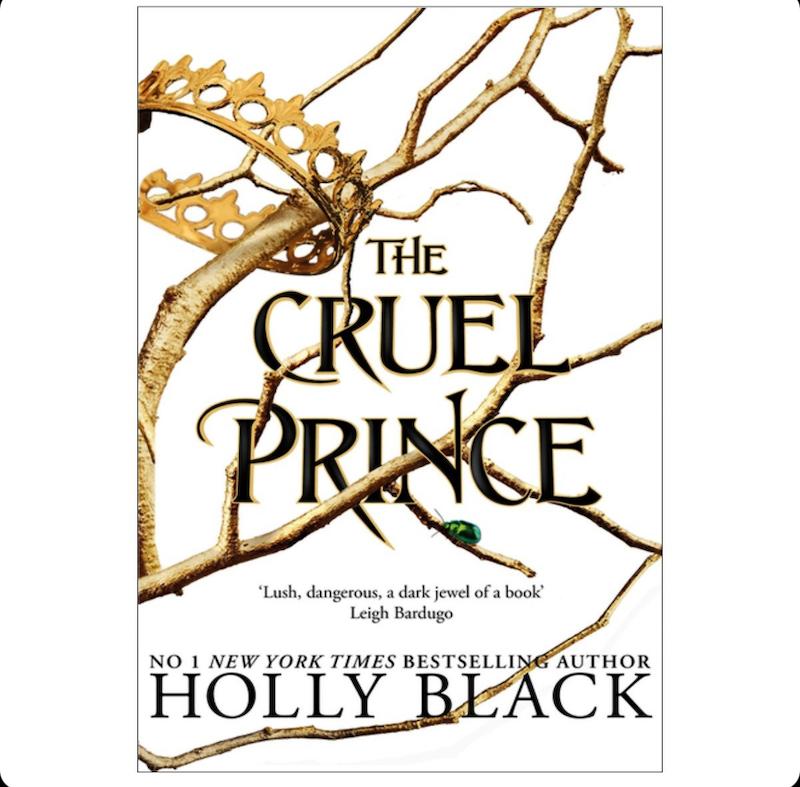 The Cruel Prince(شاهزاده سنگدل جلد۱)