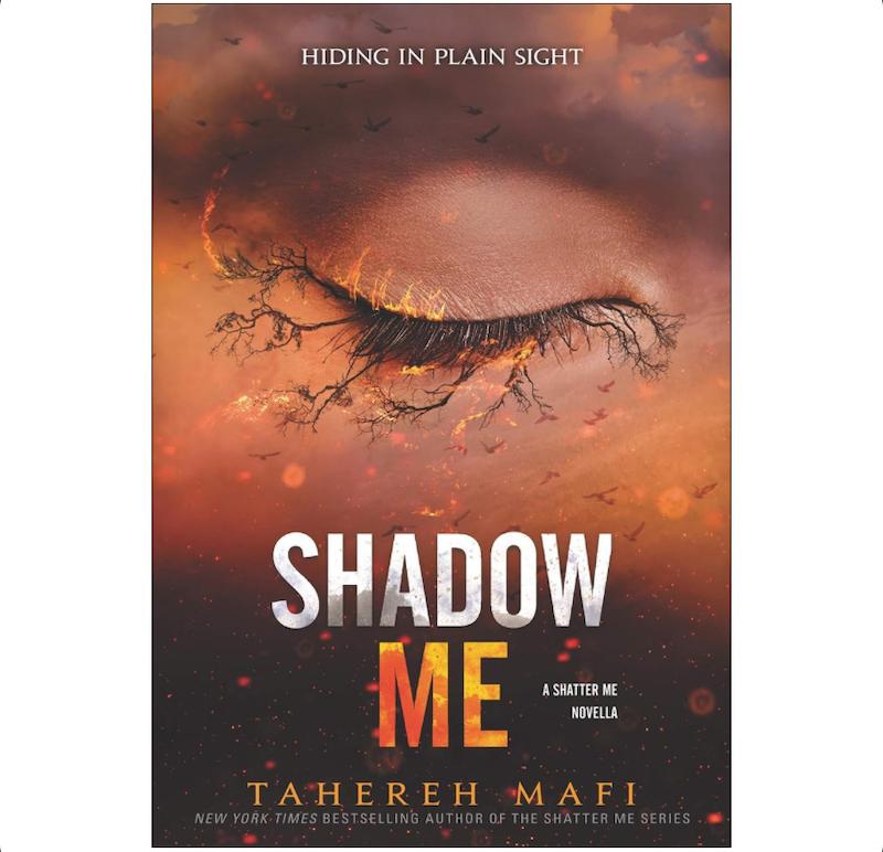 Shadow Me |shatter me 4.5
