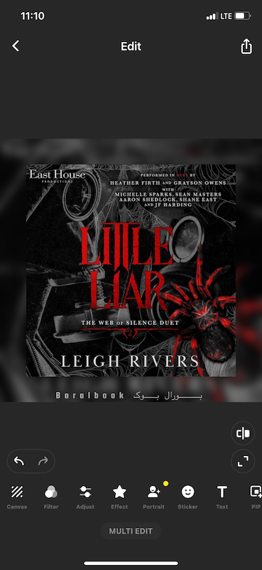 🎵 کتاب صوتی Little Liar اثر Leigh Rivers