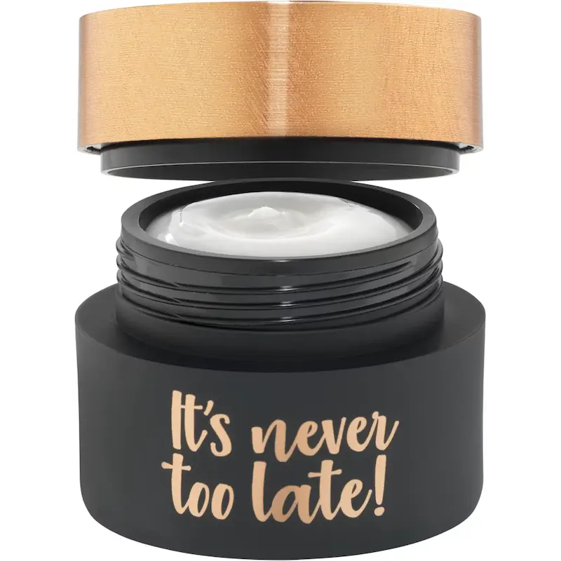 کرم روز ضد چروک صورت It's never too late آلسینا حجم 50 میلی لیتر