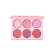 پالت رژ گونه شیگلم Floral Flush Blush Palette