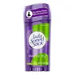 استیک ضد تعریق زنانه Invisible Dry لیدی اسپید وزن 39.6 گرم