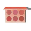 پالت رژ گونه شیگلم Floral Flush Blush Palette