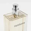 ادوپرفیوم مردانه Handsome مارسالا حجم 100 میلی لیتر