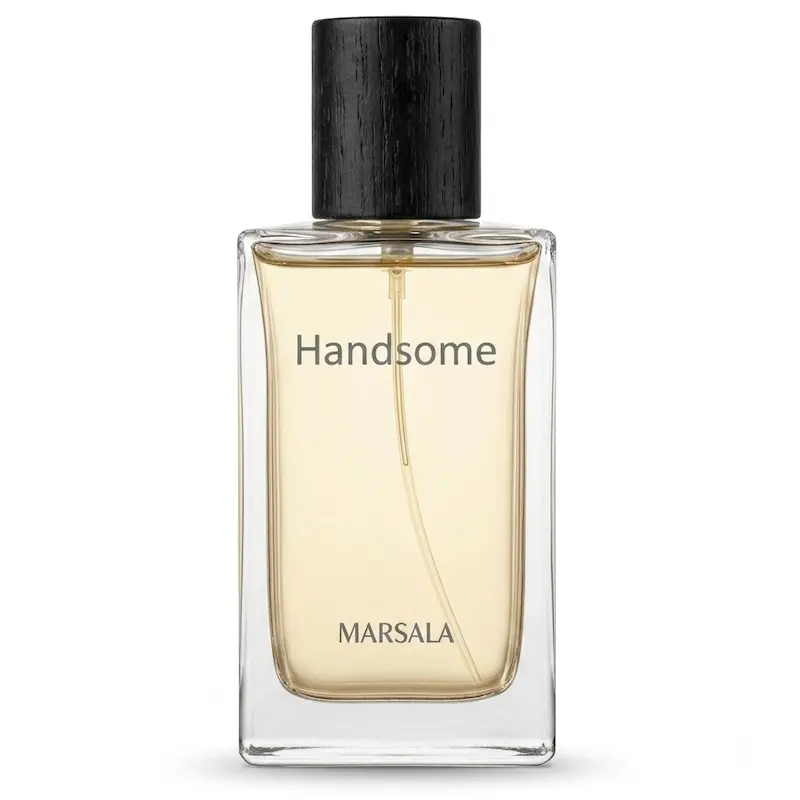 ادوپرفیوم مردانه Handsome مارسالا حجم 100 میلی لیتر
