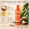 کرم اکتیویتور مرطوب کننده موهای فر کنتو سری Style حجم ۳۵۵ میلی لیتر