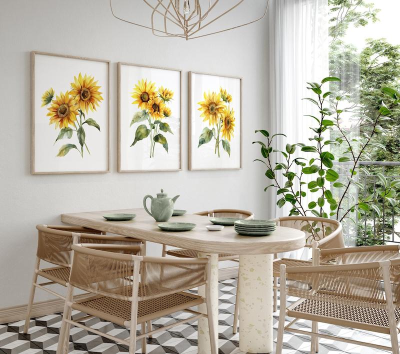 ست سانفلاوا (Sunflowa)