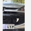 دندانی تزئینی داشبورد و سپر خودرو مدل شاخ مجموعه 2 عددی