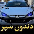 دندانی تزئینی داشبورد و سپر خودرو مدل شاخ مجموعه 2 عددی