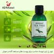 تونر پاک کننده صورت نیوساد مدل Tee Tree مناسب برای پوست آکنه ای حجم 150 میلی لیتر بسته 2 عددی