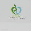 اسپری لکه بر جوهر و خودکار دیپافو مدل PN1 حجم 220 میلی لیتر