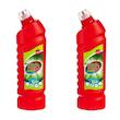 ژل توالت شوی رخشا مدل 02 وزن 880 گرم بسته 2 عددی