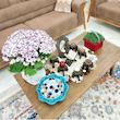 مجموعه هفت سین 8 پارچه خونه خاص طرح Flower