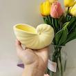 ظروف هفت سین طرح صدف حلزونی مجموعه 6 عددی