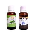روغن مو و بدن نرمک مدل سیاه دانه حجم 30 میلی لیتر به همراه روغن مو مدل چای سبز حجم 30 میلی لیتر