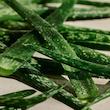 تونر پاک کننده پوست صورت بادی شاپ مدل Aloe سازگار با پوست حساس حجم 250 میلی لیتر