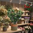 گل مصنوعی جُرجُرگل مدل بوته برگ انار کد 28 بسته 2 عددی 