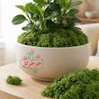 گل مصنوعی جرجرگل مدل خزه کد 100Gr