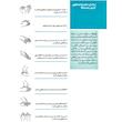 محلول ضدعفونی کننده میکروزد مدل HD حجم 1 لیتر مجموعه 2 عددی