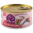 کنسرو ماهی تون در آب نمک گیلانی - 200 گرم