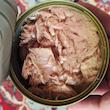 کنسرو ماهی گیدر و هوور در روغن محفل - 180 گرم بسته 24 عددی