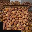 خرمای زاهدی - 10000 گرم