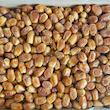خرمای زاهدی مجلسی - 10000 گرم