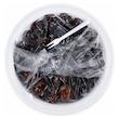 خرما کبکاب سطلی الاِسرا - 1000 گرم