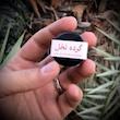 گرده نخل اصیل نخلین - ۵ گرم 