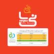 بیسکویت پنجره ای با طعم زنجبیل نی سا - 800 گرم