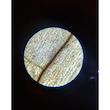 میکروسکوپ مدل Amscope-640X NEW