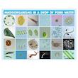 میکروسکوپ مدل ZOOM 1000X NEW 2024 به همراه کیف حمل